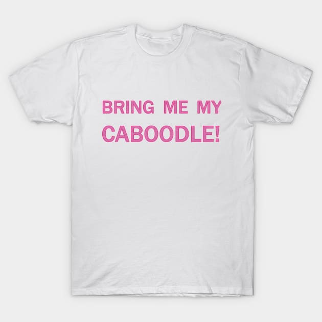 Bring me my caboodle! T-Shirt by JessJ